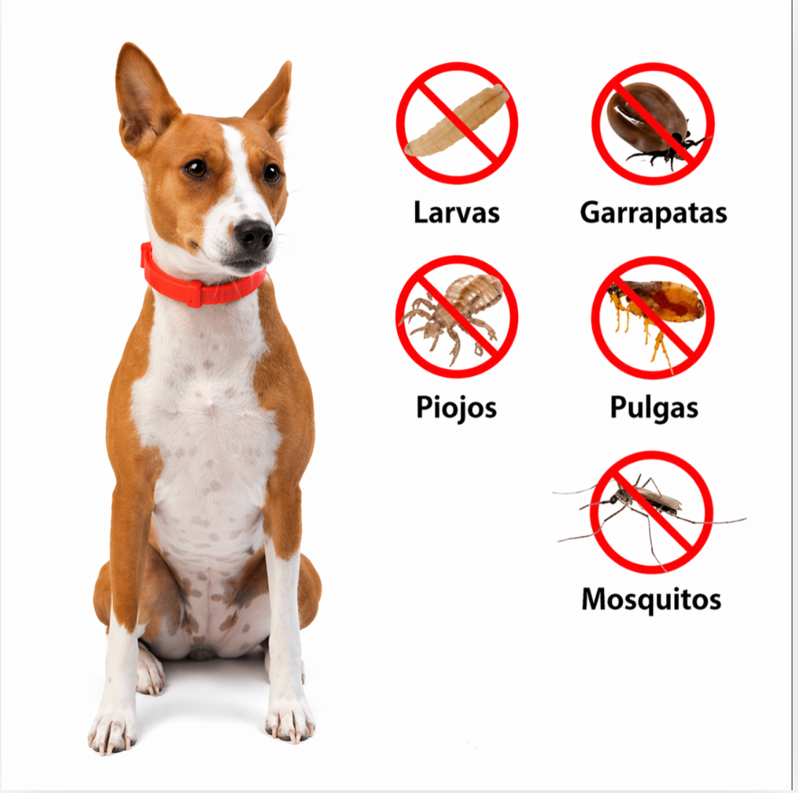 PROMO 2x1 🐾 Collar Antipulgas Natural para Perros y Gatos