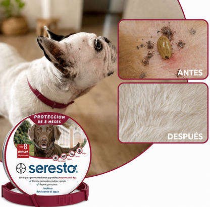 PROMO 2x1 🐾 Collar Antipulgas Natural para Perros y Gatos